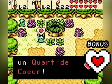 [WT] Zelda OOS Bonus - Les fragments de coeurs