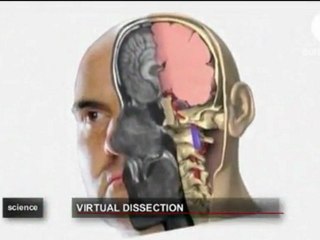 Atlas de la anatomia humana en 4D