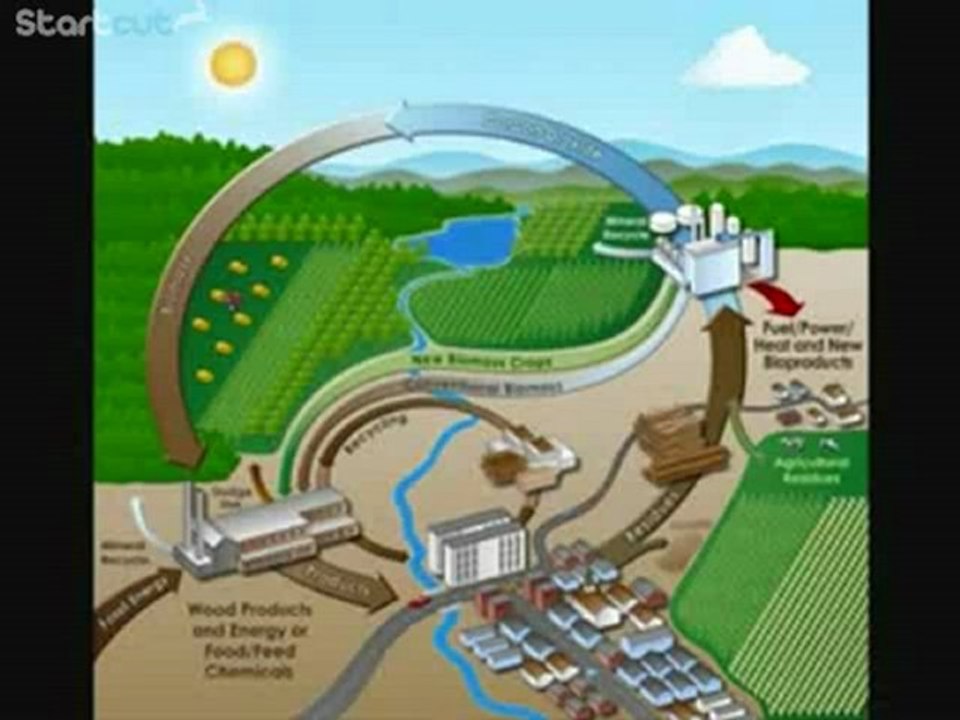 why should we recycle?