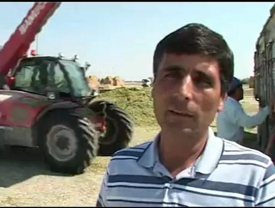 Aksaray'da Yenikent Yonca'da Türkiye'nin markası oldu