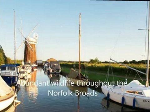 Norfolk Broads Holiday Cottages 2