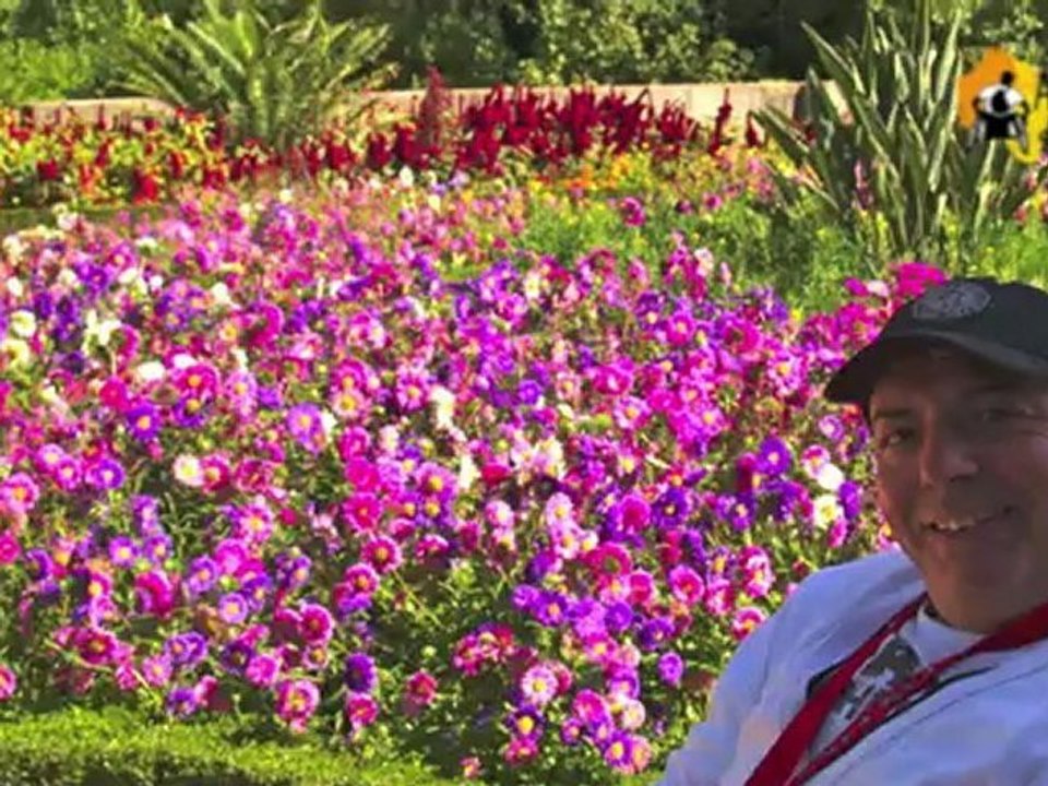 Buçaco y Mealhada con silla de ruedas