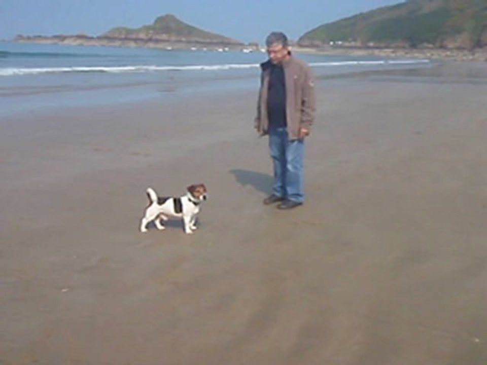 Jack à la plage 1