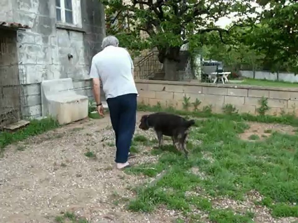 BEBE ENTRAINEMENT LE24 MAI