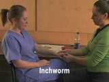 Inchworm Massage Technique - Massage Anytime, Anywhere DVD