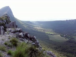 Act. L'Horus pique ta face, Loup