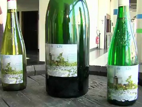 Opal'TV - Le JT - édition du vendredi 25 mai 2012