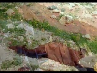 تحت المجهر - الإقتلاع من الغور