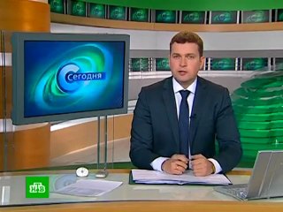 Mafia chrysanthèmes jaunes (Journal TV Russe)