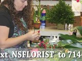 New Smyrna Beach Florist - What to Look for in a Great Florist.