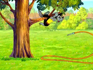 Nu.pogodi.vipusk.20.1969-2006.DivX.DVDRip