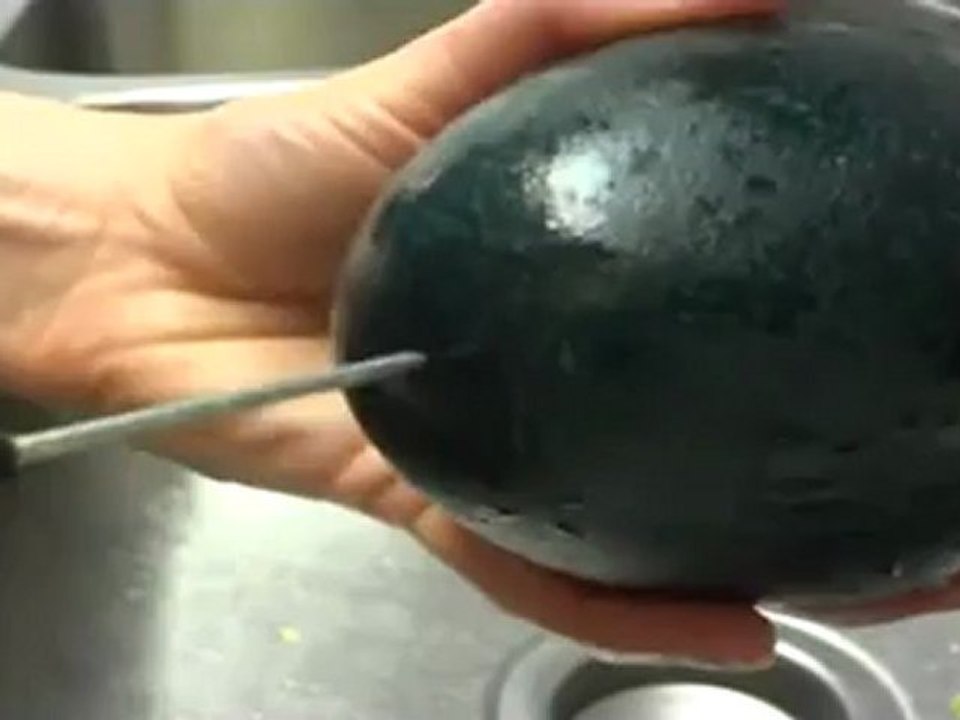 Bonnie Blowing an Emu Egg