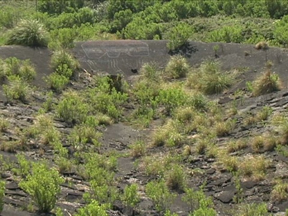 Saint Jean de Luz - Le skatepark abandonné