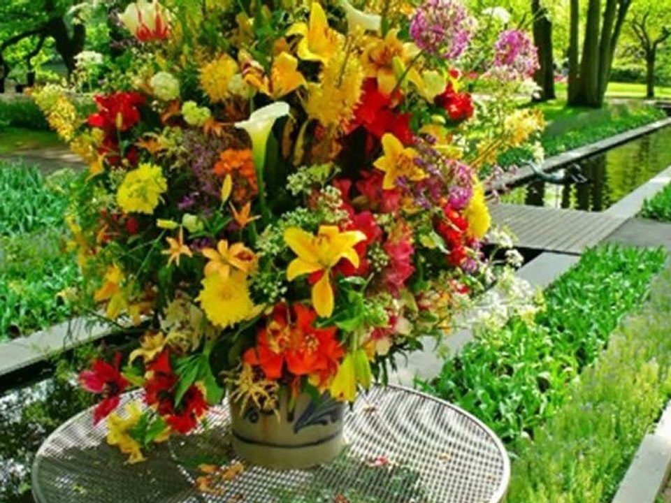 New01.mpg      KEUKENHOF HOLLANDE 18 04 2011