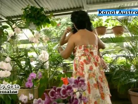 MEDERICE - Monmon (île de la Réunion) : Clip de la semaine sur Kanal Austral