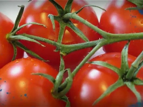 Hydroponics Halifax | Grow Room Odor Control