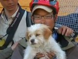 Cute dog runs 1700km with Chinese cyclists