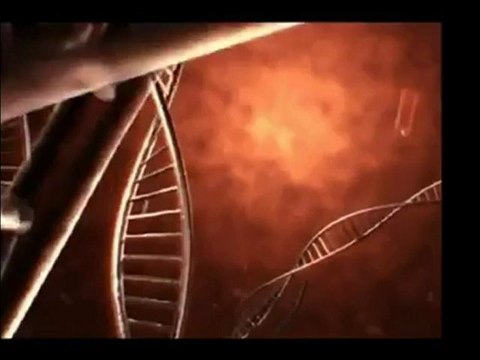 Texas DNA Paternity Testing - DNA Testing Center - DATCS in East Texas