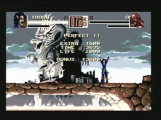 CGRundertow SHAQ FU for Sega Genesis Video Game Review