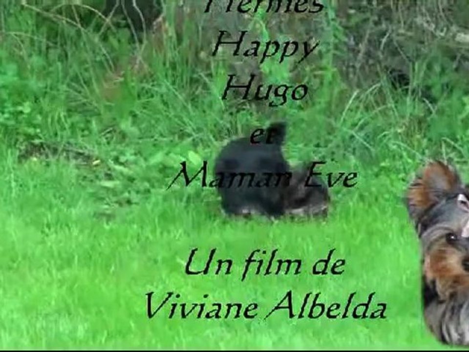 Les 4 mousquetaires au jardin!