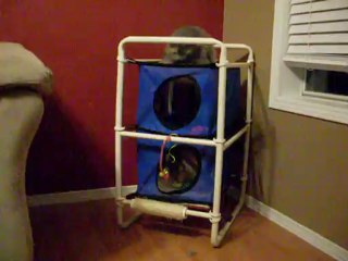 pvc elevated cat hammock