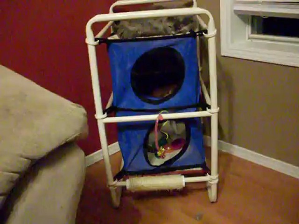 Cat Play Center