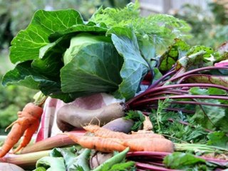 Benefits Of Growing Your Own Food