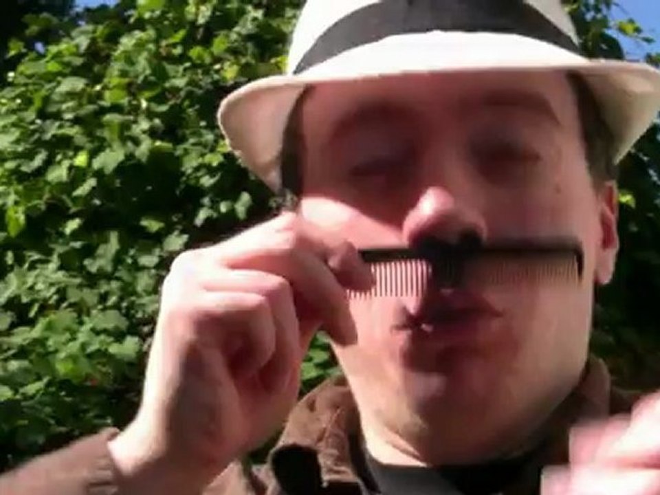Une Grenouille Dans La Vigne