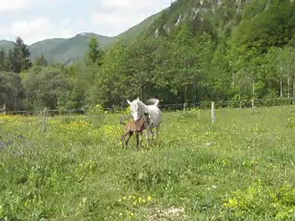 Naissance 26 mai 2012
