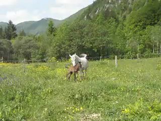 Naissance 26 mai 2012