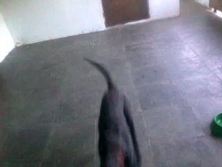 video-2012-05-26-16-42-59