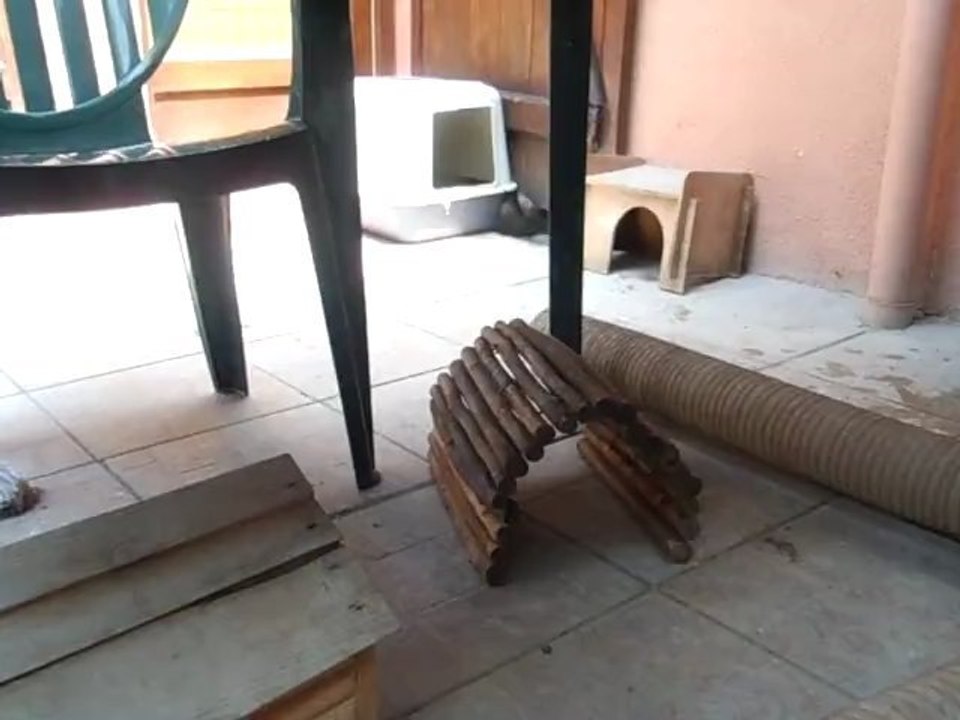 socket dans le patio