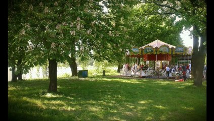 Mój film-20120523-0845