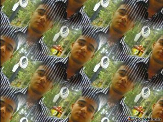 HAM MEYVAYI KOPARDILAR DALINDAN