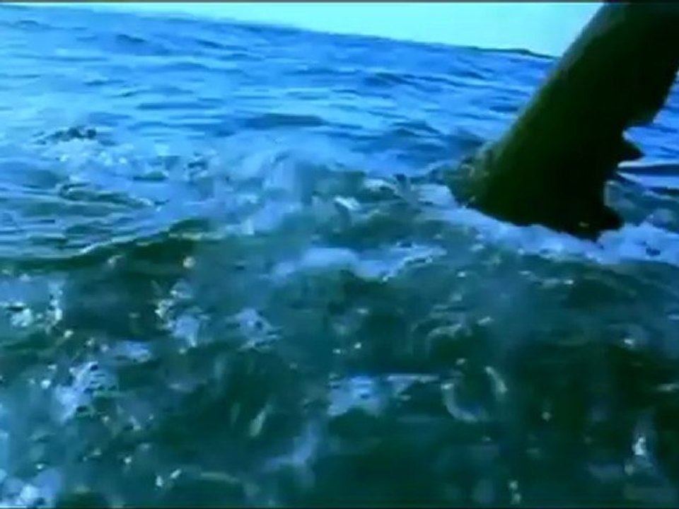 Massive nature1 The Deep