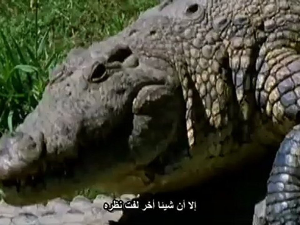 النيل الحلقة الثالثة
