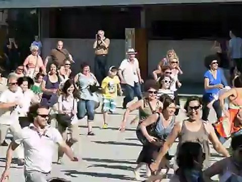 Happy manif de David Rolland à Starsbourg (2) - 26 mai 2012