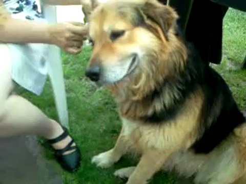 allback le sourire aux levres