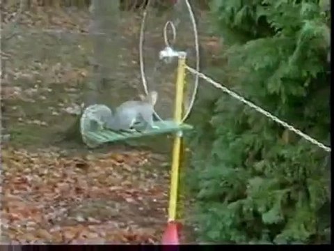 -Écureuil...- bonno van der putten