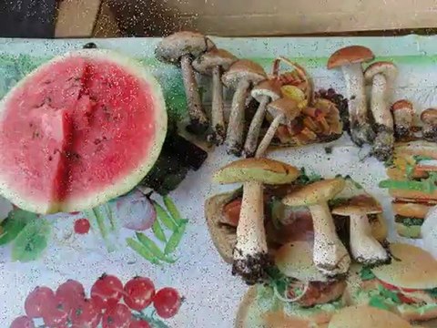 Загородная недвижимость - продается Дача (Гатчинский р-н; Красницы дер.)