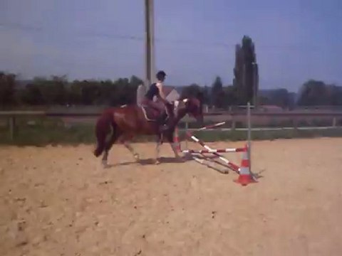 saut croisillon avec prince