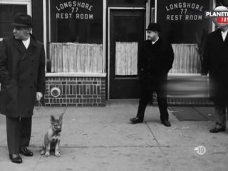 Joey Gallo Dit Crazy Joe - Histoire De Gangsters