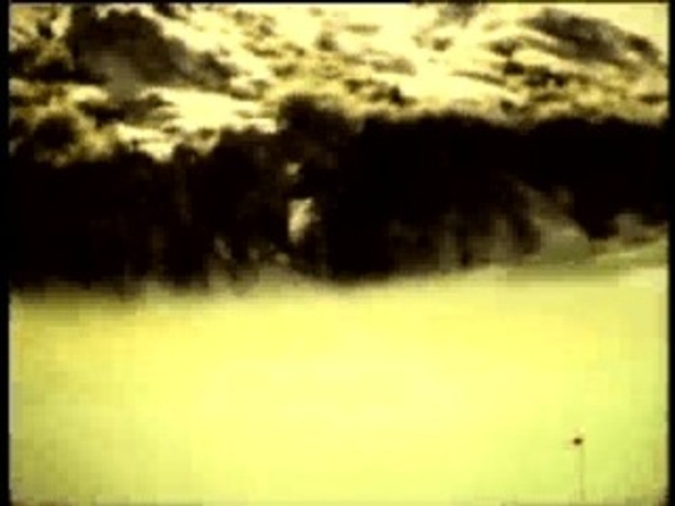 Zenzile - Smell the roses