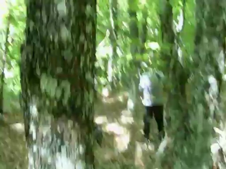 BEBES SORTIE LE 26 ET 27 MAI