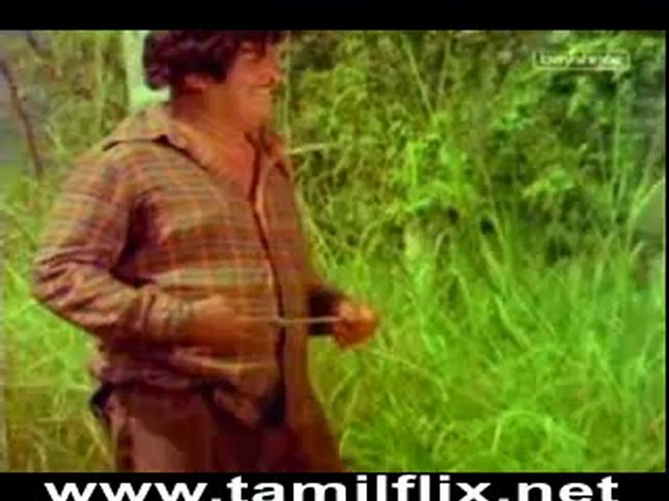 Jamboo [1980]