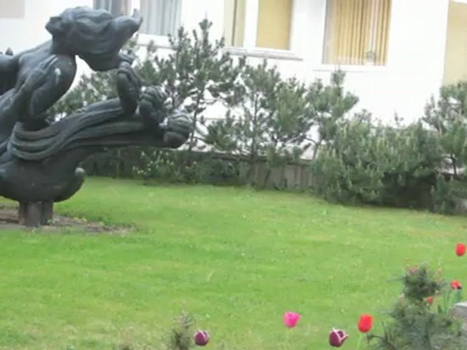 Palanga: alka