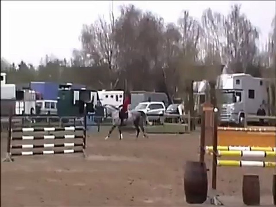 Tres Classe de Buissy (Belgique) 1 (Laurier de Here/Idylle de Buissy par Alban A) 5 ans