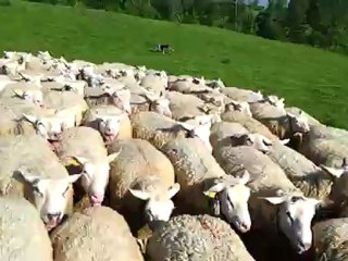 changement de parc avec un lot plus gros