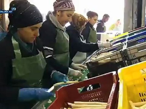 Législatives: la 2ème circonscription du Haut-Rhin