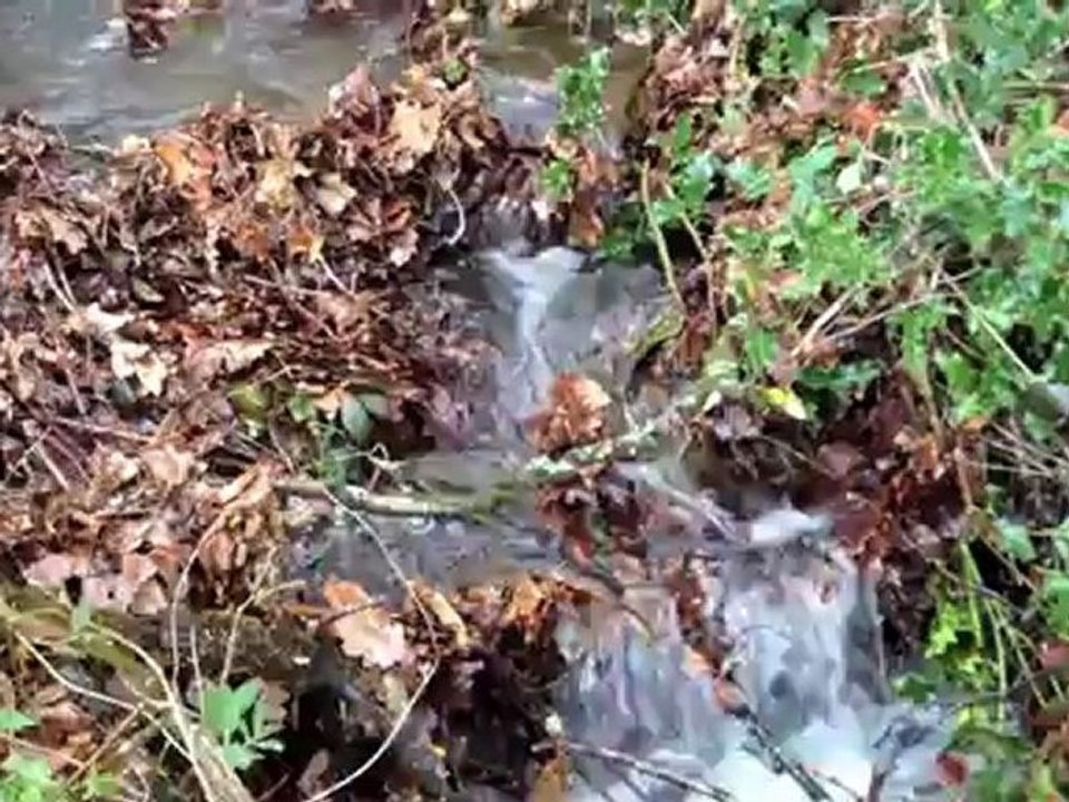 Un peu d'eau